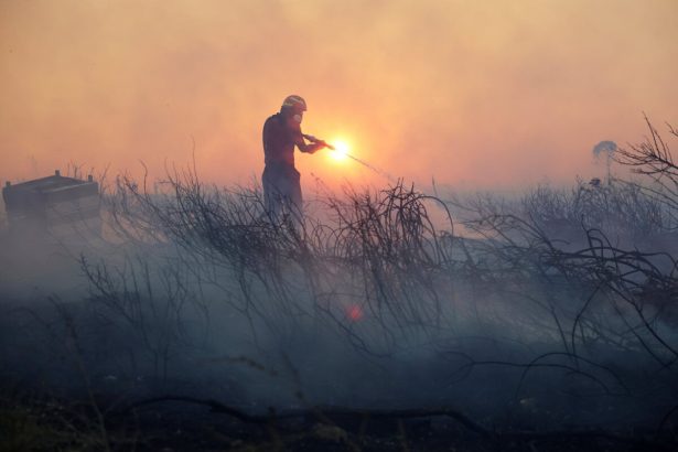 Grecko kvoli velkym horucavam suzuju lesne poziare