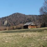 Ludi laka uzemie medvedov varuju ochranari