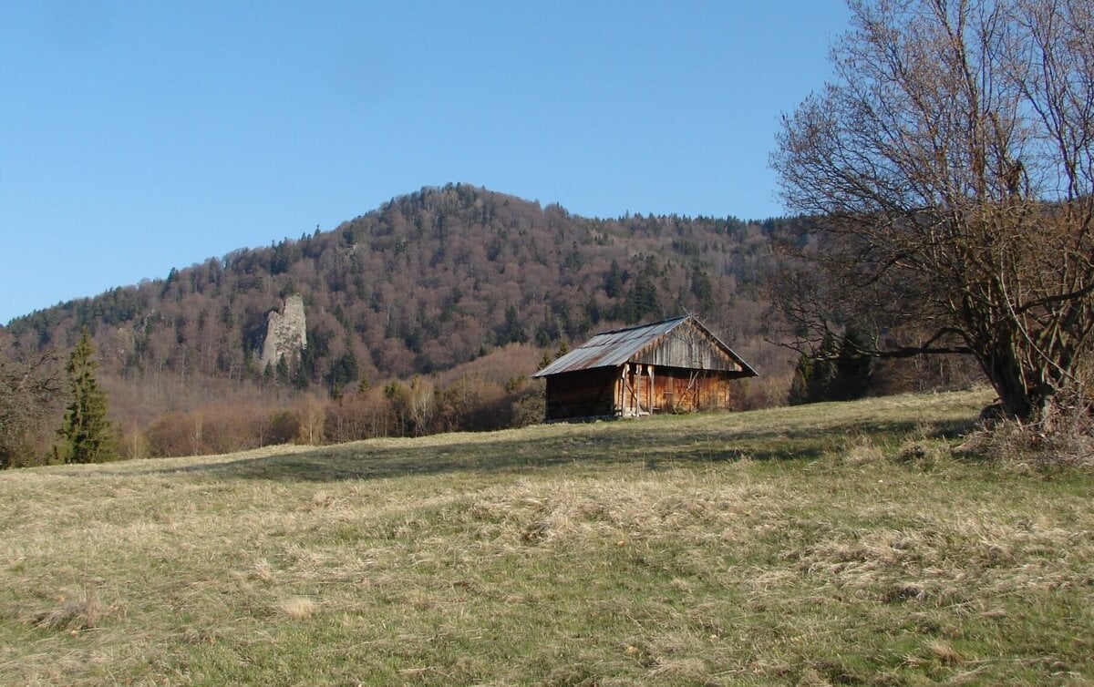 Ludi laka uzemie medvedov varuju ochranari