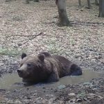 Martincan monitoruje horsky wellness s unikatnymi zabermi