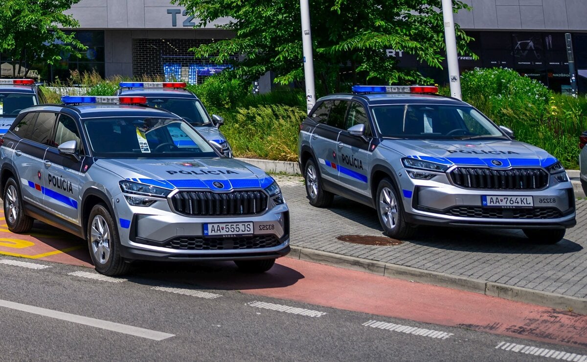 V trestnej cinnosti vlani dominovali kradeze