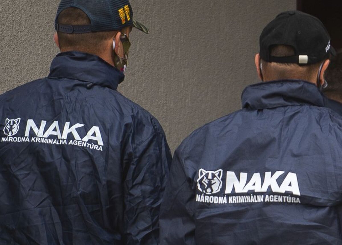 Vydavali sa za policajtov NAKA okradli muza v parku