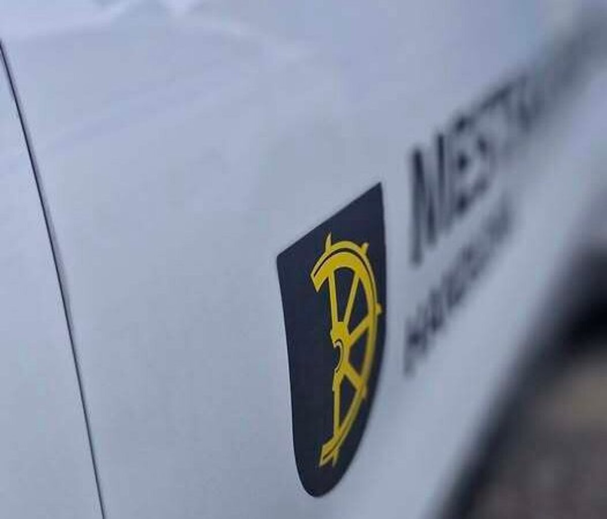 Agresivny mladik zautocil na policajta v Handlovej