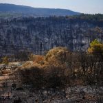 Hasici dostali pod kontrolu rozsiahly lesny poziar