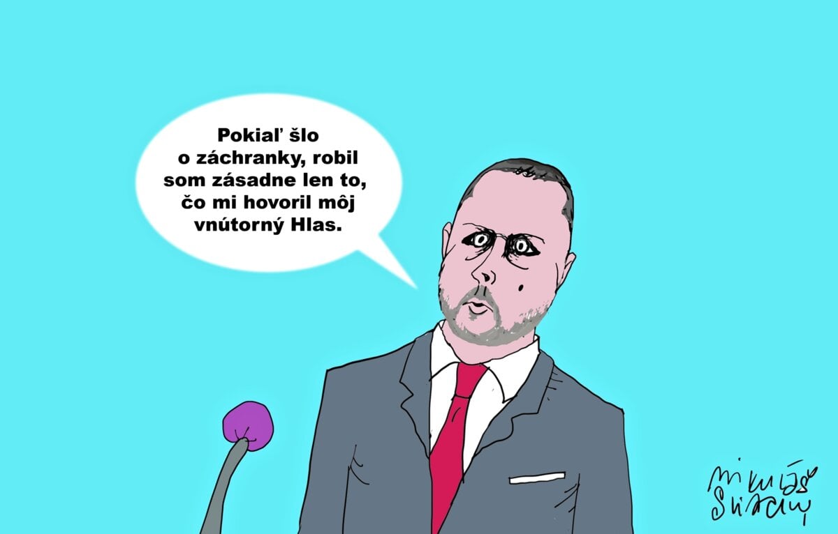 Karikatura dna Zasada