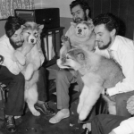 Prepadol sa do trhliny v ladovci Po 65 rokoch nasli ostatky badatela Dennisa Bella