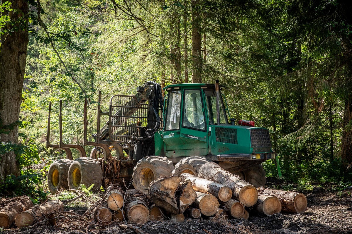 Slovensko bude pokracovat v tazbe dreva tvrdi Taraba