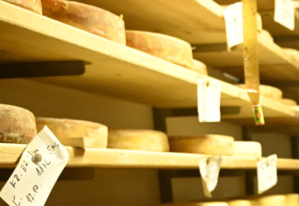 Svajciarsko sa zaujima aj o syr Prezidentka lobuje vo Washingtone za zmierenie ciel