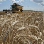 Tohtorocna zatva bola lepsia ako vlani