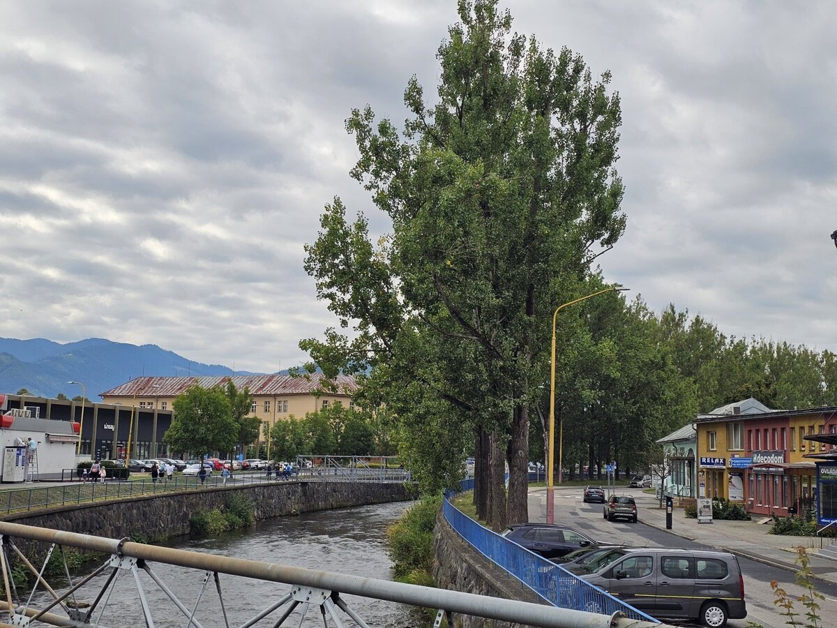 V Ruzomberku zacali rubat stromy nahradi ich zelen