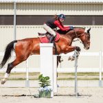 Vo svete sposobil senzaciu dochodcuje na Slovensku Elitneho zrebca osedlala mlada jazdkyna