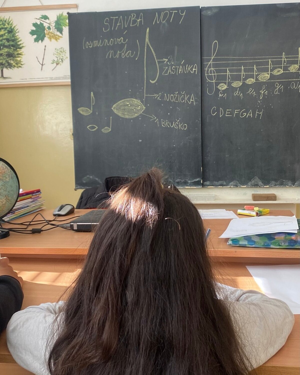 Jeden clovek pracuje v siestich sukromnych skolach