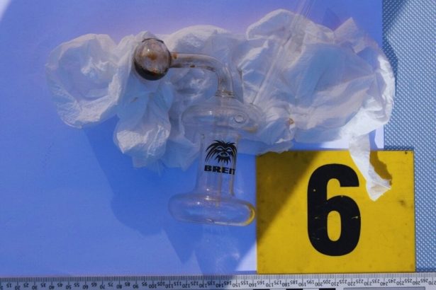 Policajti opat hladali drogy v domoch