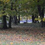 V pondelok nastane jesenna rovnodennost zacne jesen