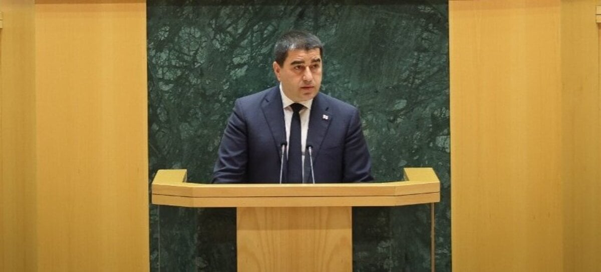 Gruzinsk vladna strana poziada sud o zakaz troch opozicnych stran