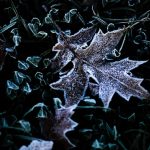 Pocas poslednych noci a ran mrzlo na vacsine uzemia najtuhsie v Ciernom Balogu