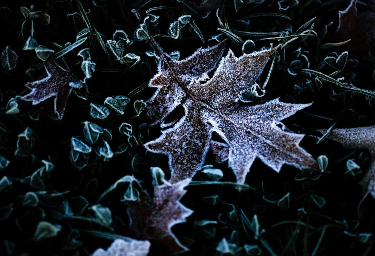 Pocas poslednych noci a ran mrzlo na vacsine uzemia najtuhsie v Ciernom Balogu