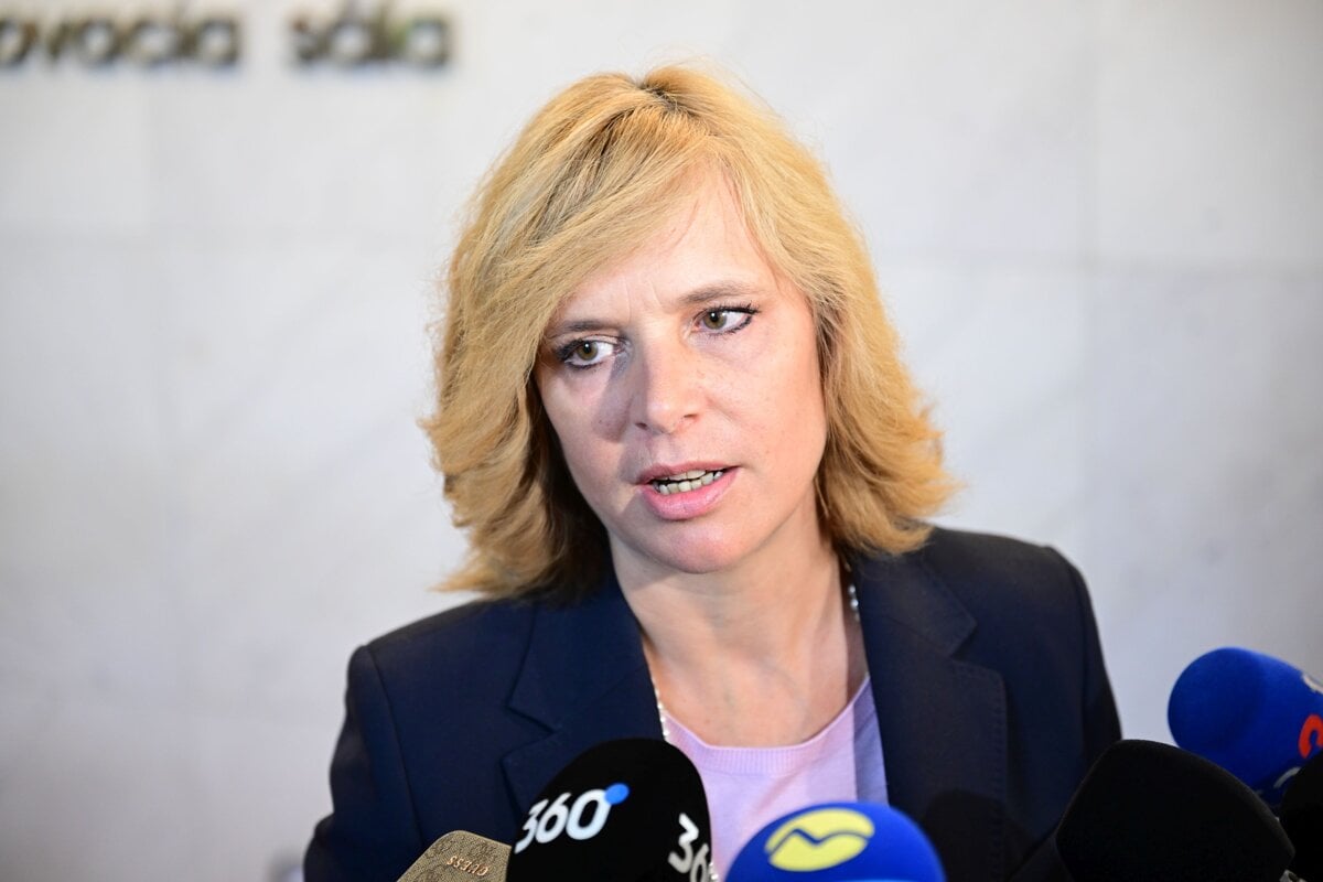 Remisova uspela s podnetom socialne podniky sa podrobia kontrole
