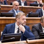 SaS chce presadit zakon na dobrovolnicke jednotky policie