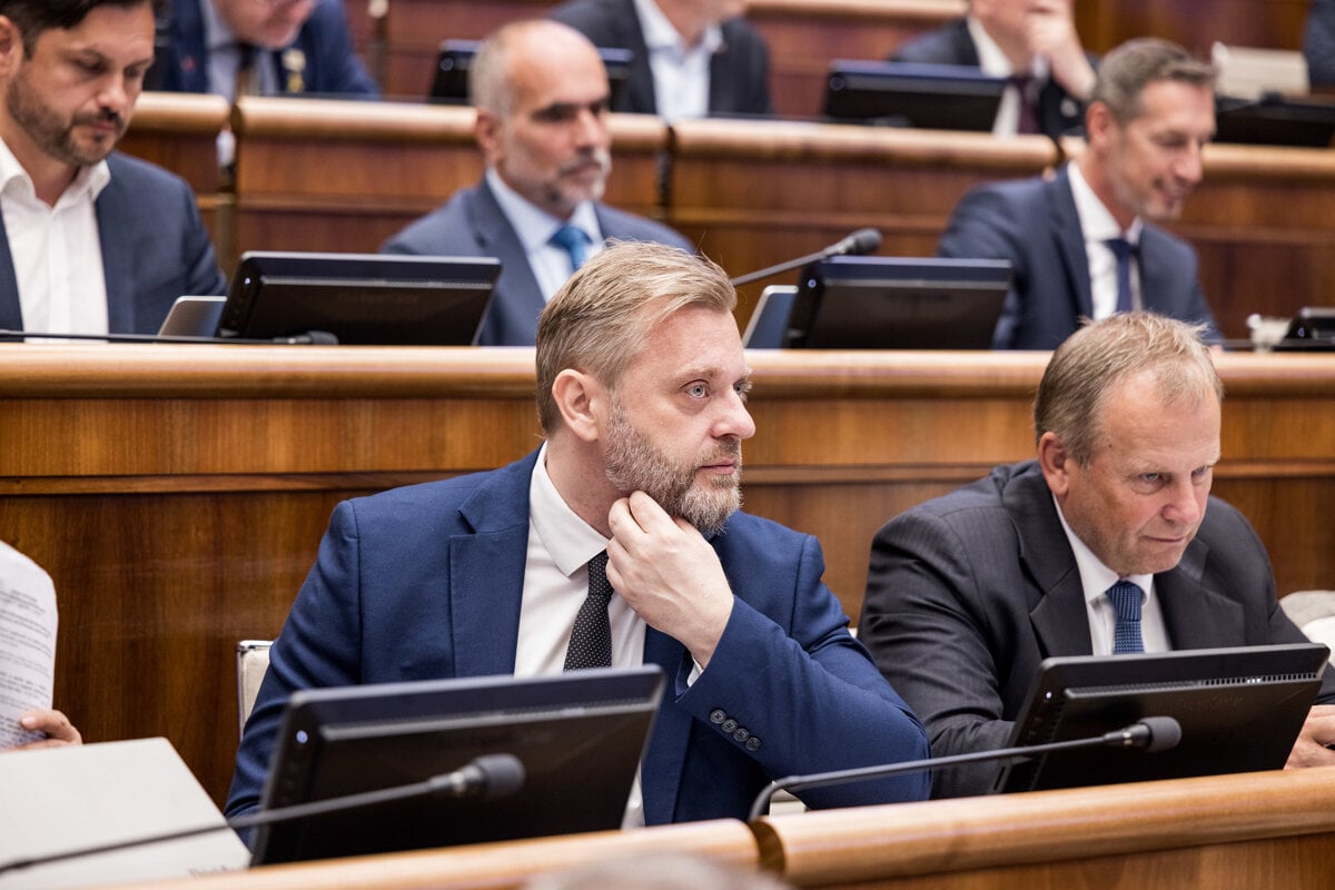 SaS chce presadit zakon na dobrovolnicke jednotky policie