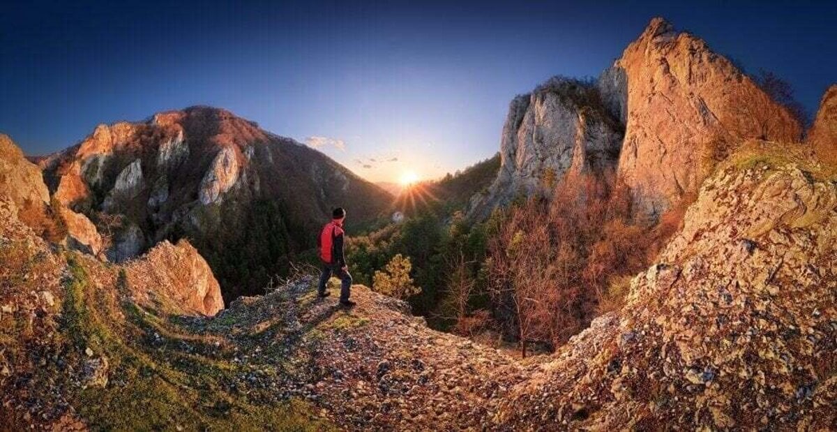 Siete a muriky vyrazne zmenia prirodny raz tiesnav