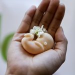 Spanielska vlada chce zakotvit pravo na interrupciu