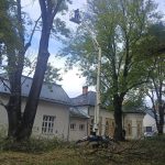 V Stakcine vysadia stare odrody stromov