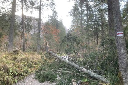 Vietor v noci v Tatrach vyvracal stromy