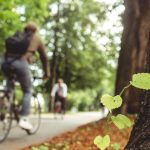 Partizanske Mestsky cyklochodnik zmeni trasovanie uprava lavky