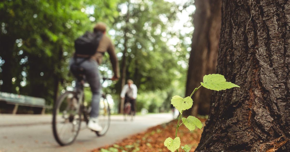 Partizanske Mestsky cyklochodnik zmeni trasovanie uprava lavky