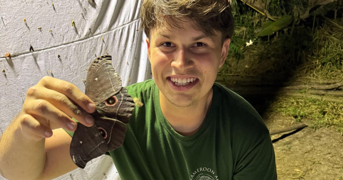 Samicka moze stat aj desattisic eur Ked nie je doma o motyle sa mu stara mama