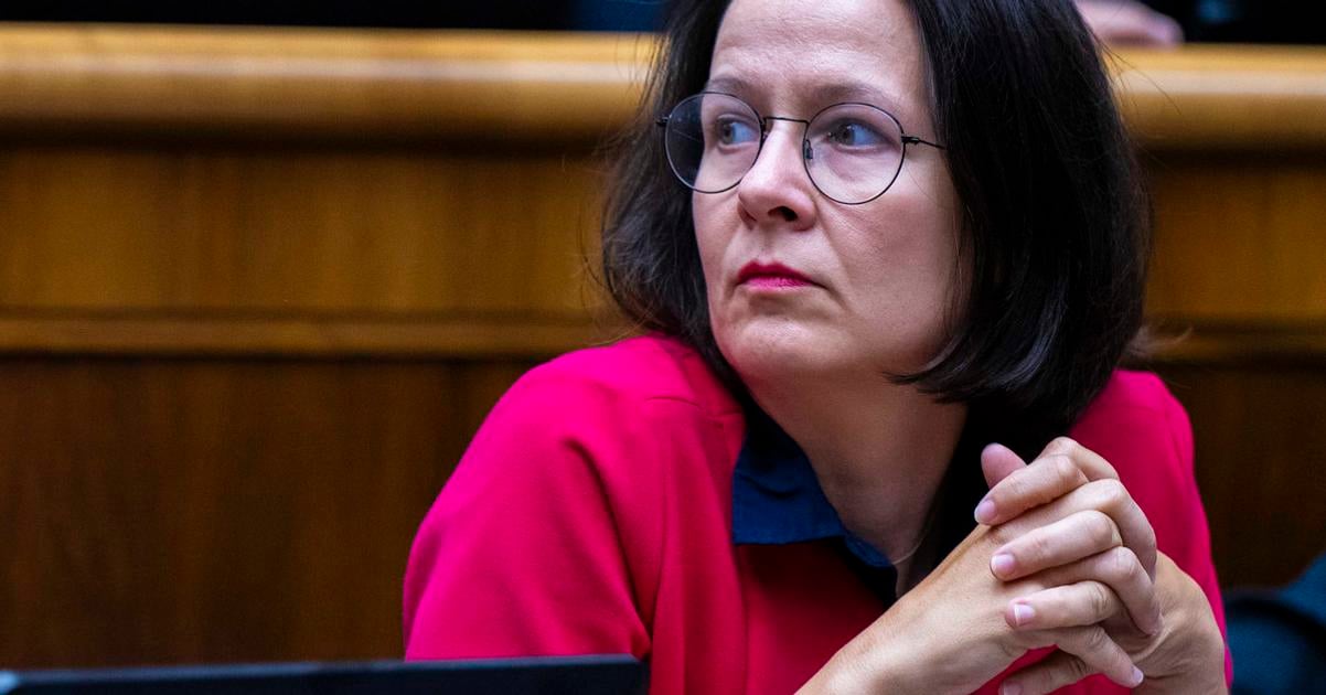 Stevulova povazuje navrh na zmenu UOO za pomstu Sutaja Estoka