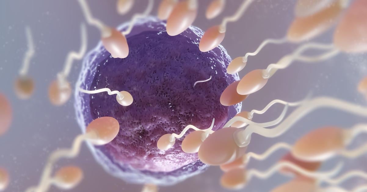 Darca spermii je otcom takmer dvesto deti