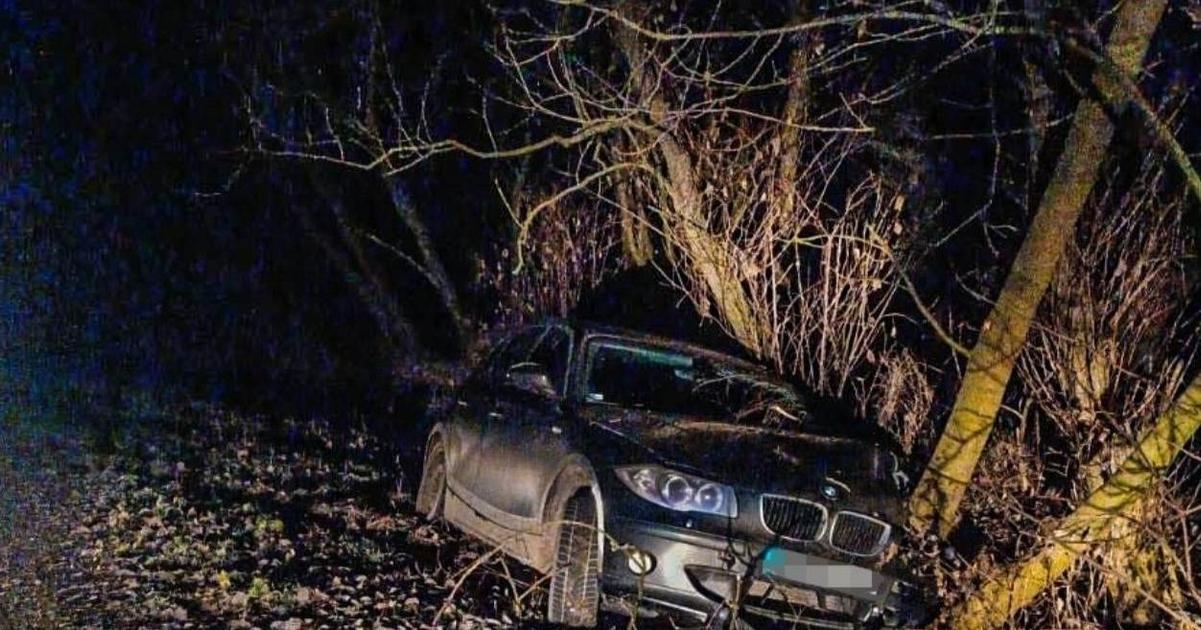 Deti za volantom Dvanastrocneho chlapca zastavili policajti patnastrocny narazil do stromu