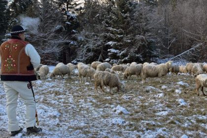 Pastieri patrili k vianocnym sviatkom a divadlam