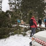 Silny vietor v Ziarskej doline vyvratil strom a zasiahol turistov