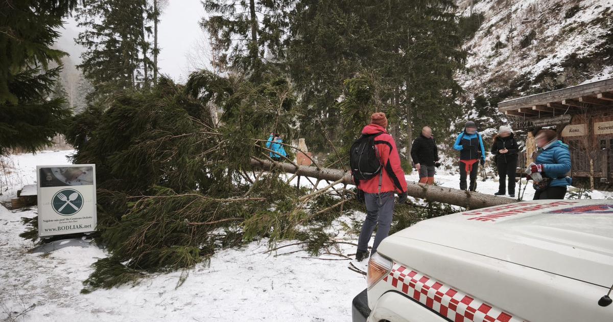 Silny vietor v Ziarskej doline vyvratil strom a zasiahol turistov