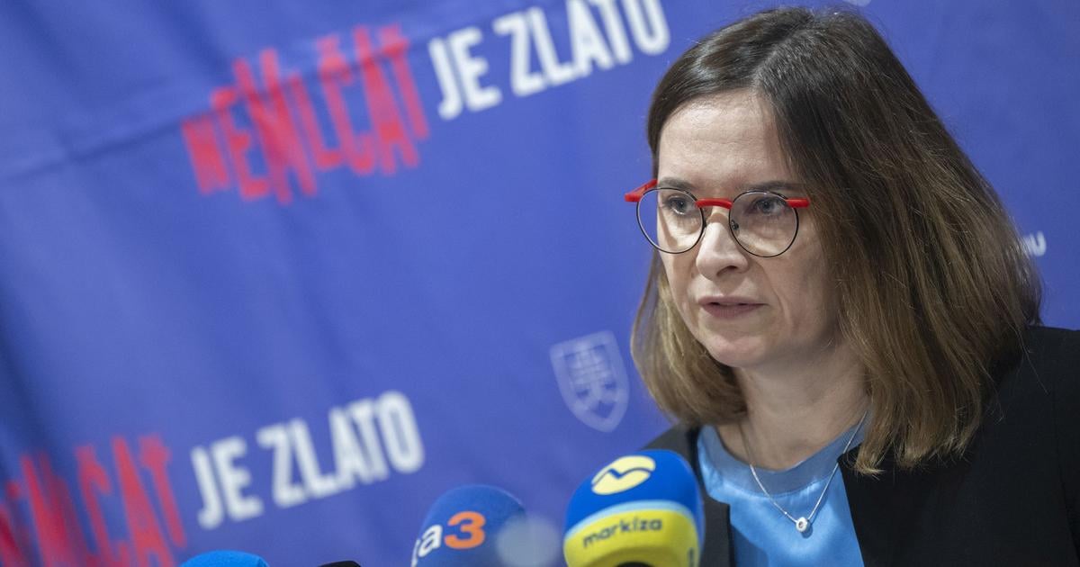 Spravodajkyna PZ RE vyjadrila obavy o zmene ochrany oznamovatelov