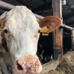 Ktorym farmarom stat vlani poslal najvacsie dotacie