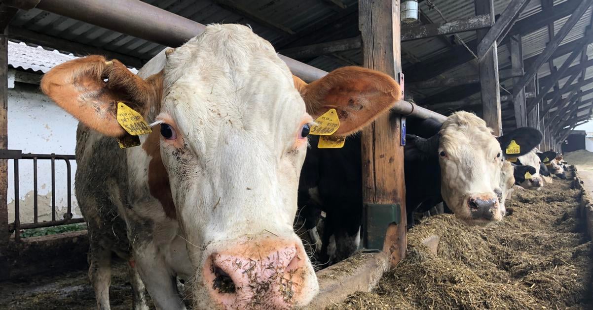 Ktorym farmarom stat vlani poslal najvacsie dotacie