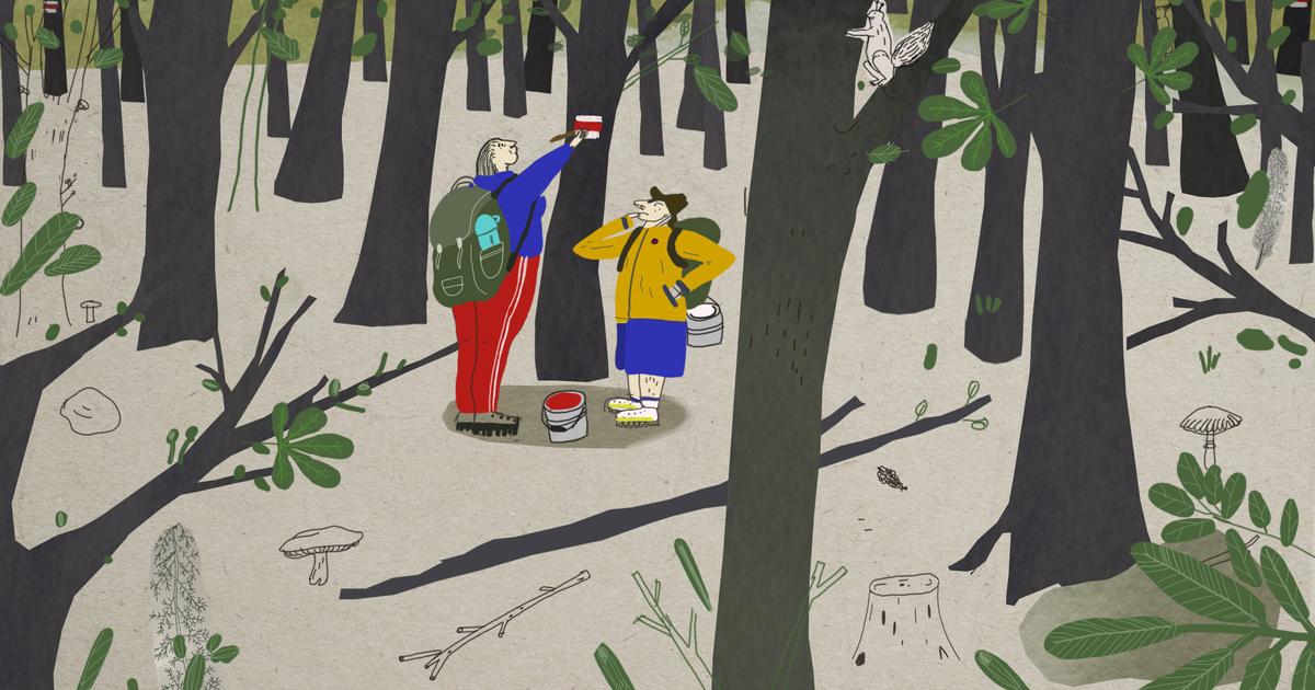 V Clermont Ferrand bude sutazit slovensky kratky animovany film Turisti