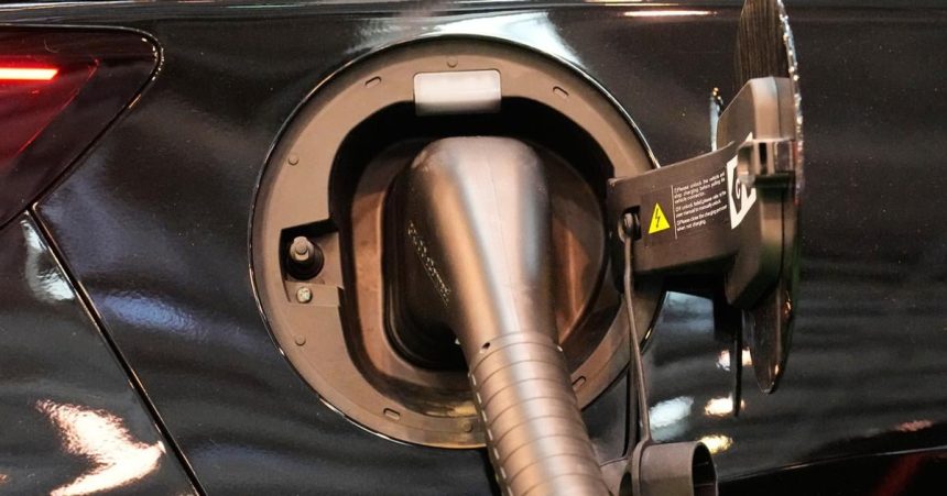 V roku 2025 boli takmer vsetky novoregistrovane auta elektricke