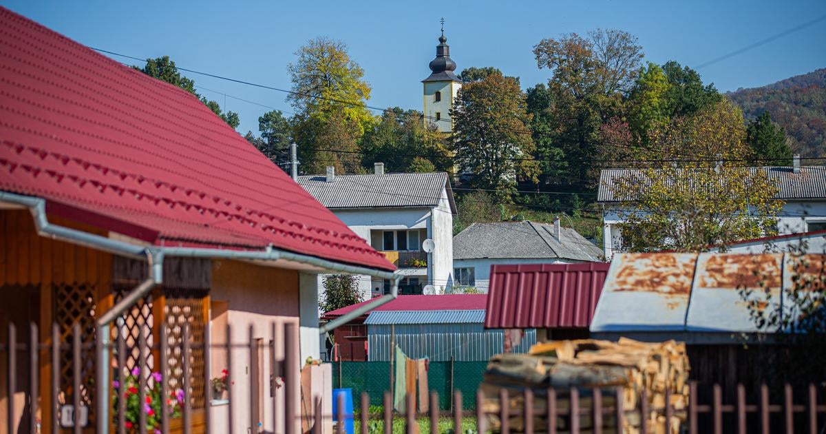 Novy Obciansky zakonik sa zaobera aj susedskymi vztahmi Koho patri ovocie z prcniavajucych konarov a kto ich bude moct oreza