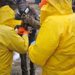 U vtakov chovanych v zajati v obci Klenov bol potvrdeny virus vtacej chripky