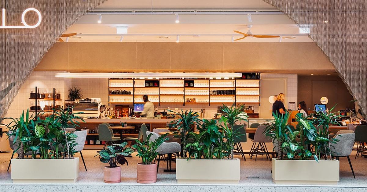 Medusa riesi problemy restauracii v Dubaji Trzby tam klesli o 90 percent