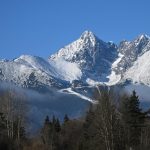 Ustav ekologii lesa navrhuje statnym organom viacer zmeny pri zonaciach