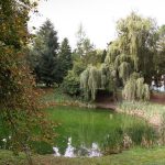 byvalekupelesuprzdneaticheoblubene miesto coskoro prejde rekonstrukciou