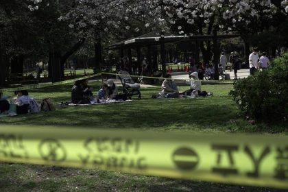 Nebezpecne chvile pod kvetmi V Tokiu padaju starnuce sakury