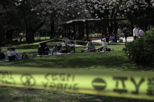 Nebezpecne chvile pod kvetmi V Tokiu padaju starnuce sakury