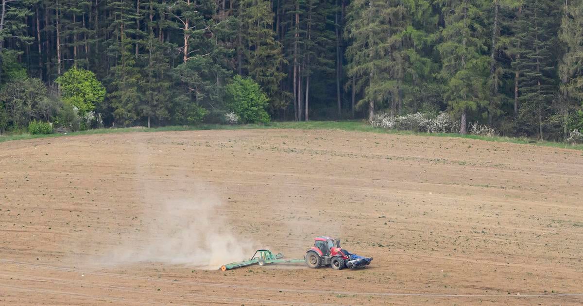 Vyrazne az extremne sucho postihuje priblizne polovicu uzemia Slovenska